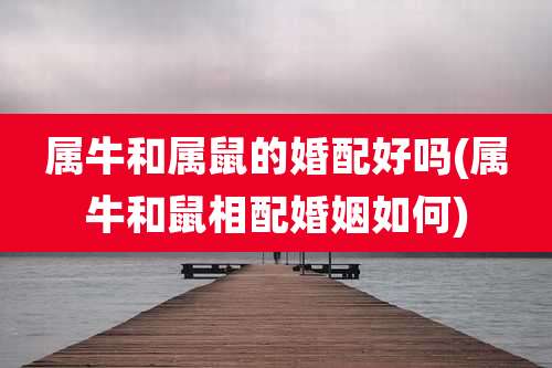 属牛和属鼠的婚配好吗(属牛和鼠相配婚姻如何)