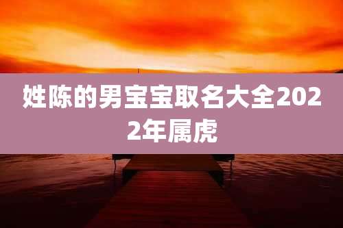 姓陈的男宝宝取名大全2022年属虎