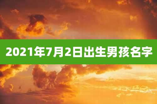 2021年7月2日出生男孩名字