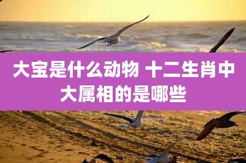 大宝是什么动物 十二生肖中大属相的是哪些