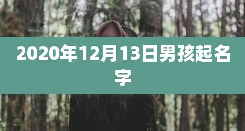2020年12月13日男孩起名字