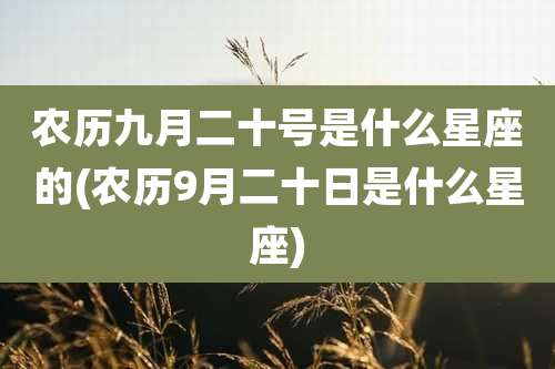 农历九月二十号是什么星座的(农历9月二十日是什么星座)