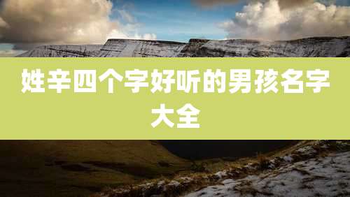 姓辛四个字好听的男孩名字大全