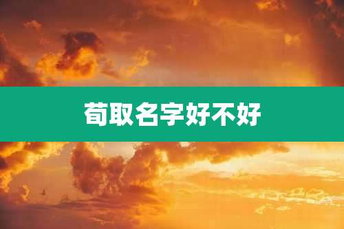 荀取名字好不好