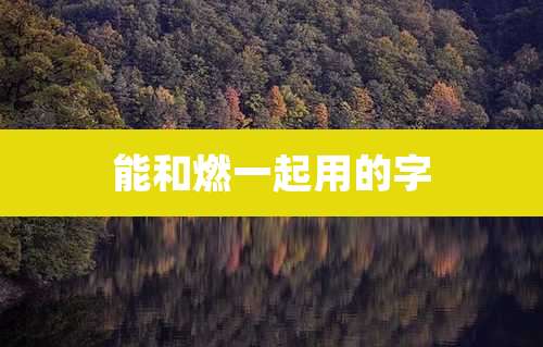 能和燃一起用的字