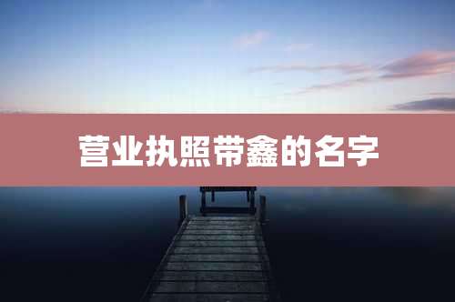 营业执照带鑫的名字