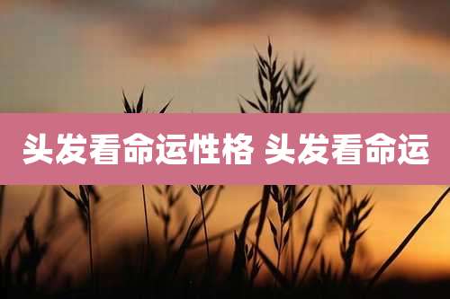 头发看命运性格 头发看命运