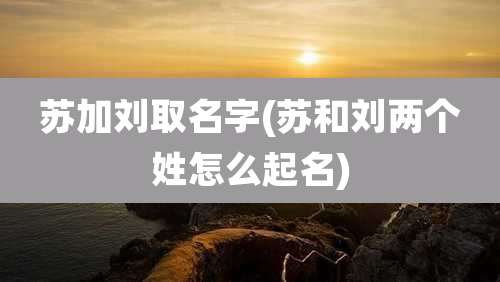 苏加刘取名字(苏和刘两个姓怎么起名)