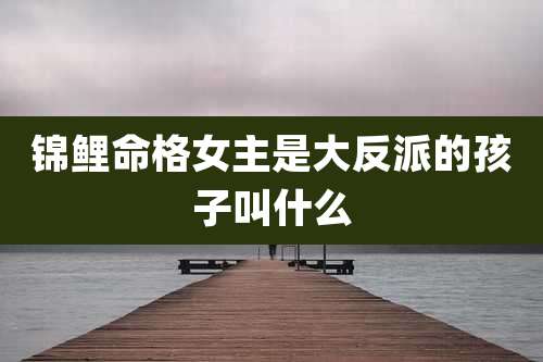 锦鲤命格女主是大反派的孩子叫什么