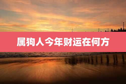 属狗人今年财运在何方