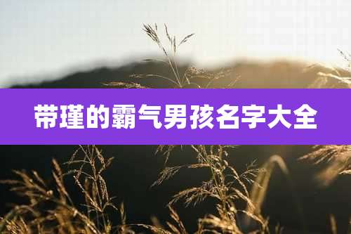 带瑾的霸气男孩名字大全