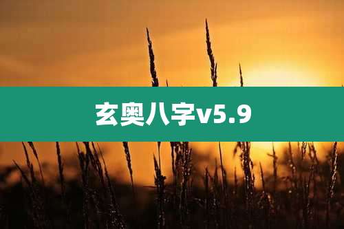 玄奥八字v5.9