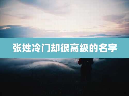 张姓冷门却很高级的名字