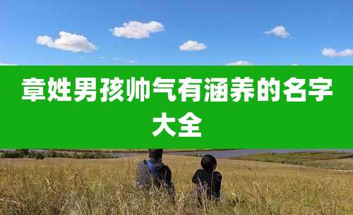 章姓男孩帅气有涵养的名字大全