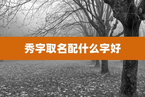 秀字取名配什么字好