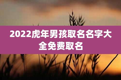 2022虎年男孩取名名字大全免费取名