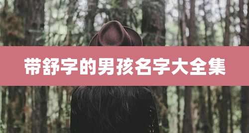 带舒字的男孩名字大全集