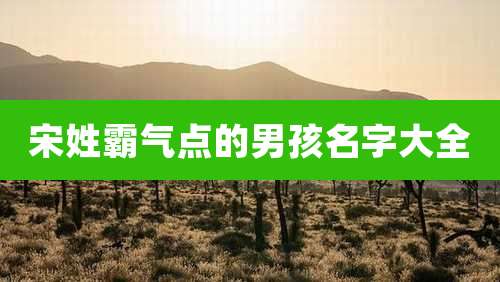 宋姓霸气点的男孩名字大全