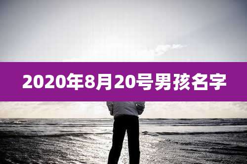 2020年8月20号男孩名字
