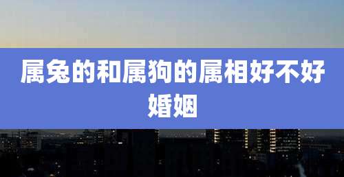属兔的和属狗的属相好不好婚姻