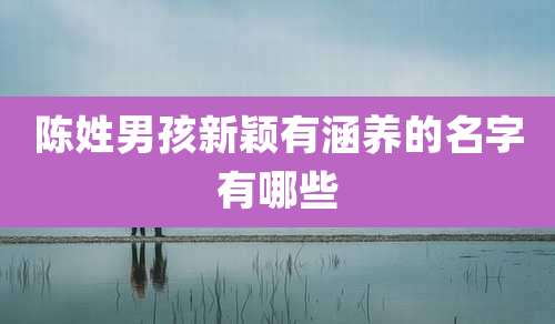 陈姓男孩新颖有涵养的名字有哪些