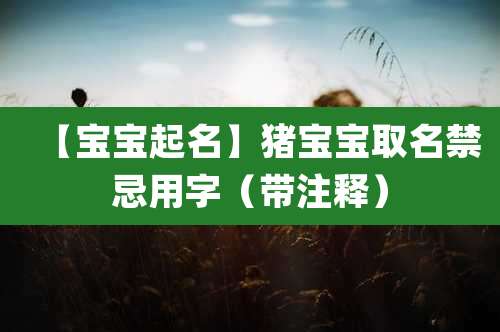 【宝宝起名】猪宝宝取名禁忌用字（带注释）