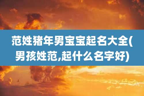 范姓猪年男宝宝起名大全(男孩姓范,起什么名字好)