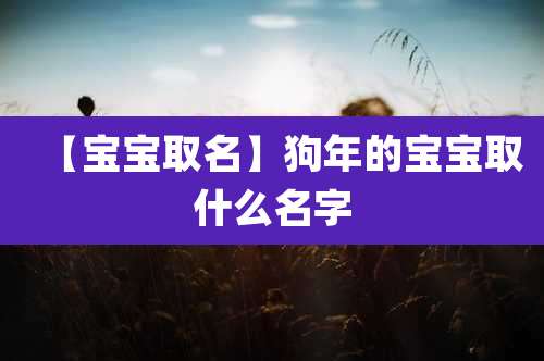 【宝宝取名】狗年的宝宝取什么名字