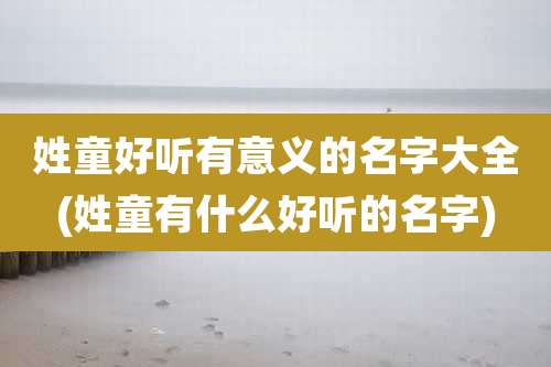 姓童好听有意义的名字大全(姓童有什么好听的名字)