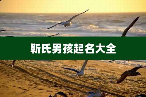 靳氏男孩起名大全