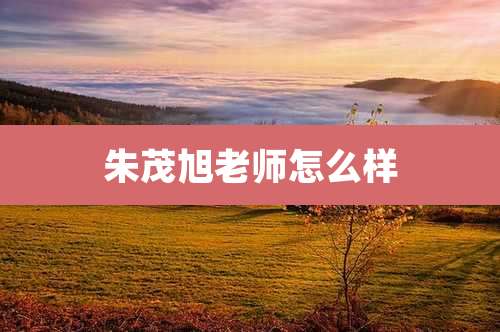 朱茂旭老师怎么样