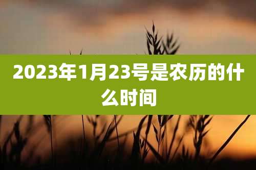 2023年1月23号是农历的什么时间