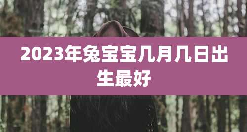 2023年兔宝宝几月几日出生最好