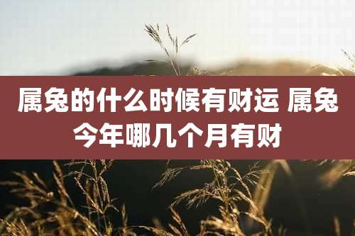 属兔的什么时候有财运 属兔今年哪几个月有财