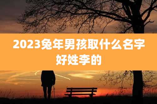 2023兔年男孩取什么名字好姓李的