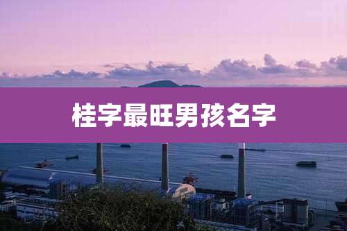 桂字最旺男孩名字