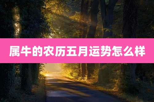 属牛的农历五月运势怎么样