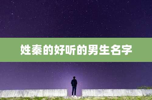 姓秦的好听的男生名字