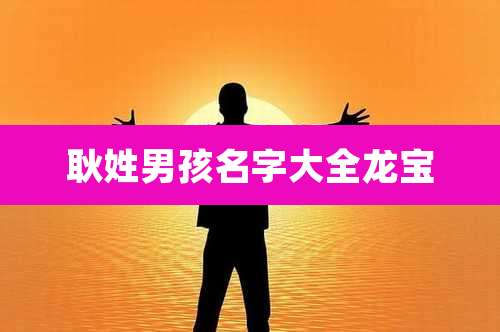 耿姓男孩名字大全龙宝