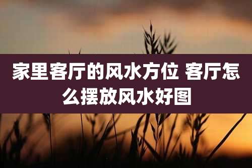 家里客厅的风水方位 客厅怎么摆放风水好图
