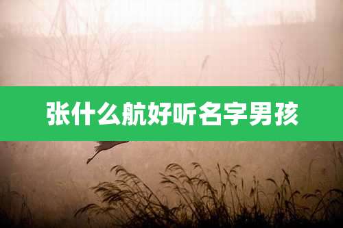 张什么航好听名字男孩