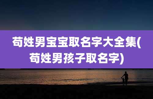 苟姓男宝宝取名字大全集(苟姓男孩子取名字)