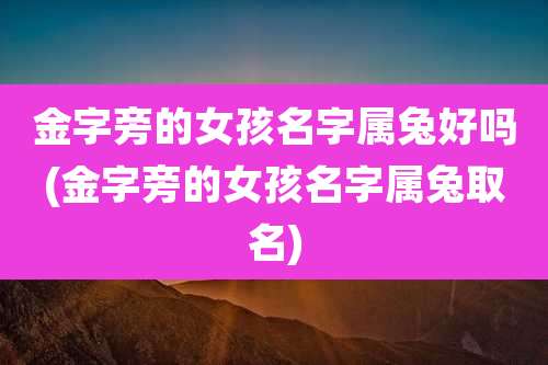 金字旁的女孩名字属兔好吗(金字旁的女孩名字属兔取名)