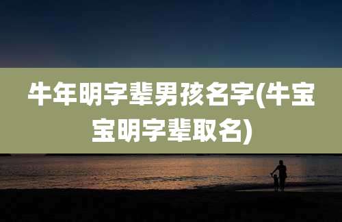 牛年明字辈男孩名字(牛宝宝明字辈取名)