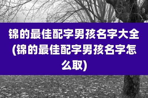 锦的最佳配字男孩名字大全(锦的最佳配字男孩名字怎么取)