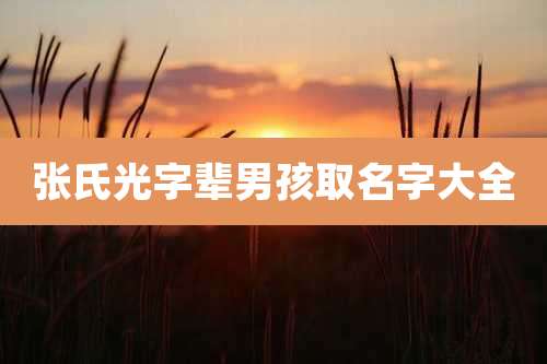 张氏光字辈男孩取名字大全