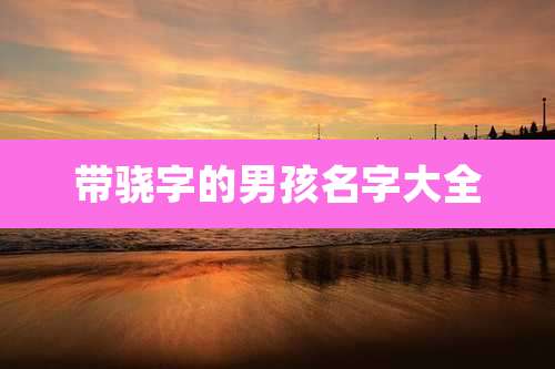 带骁字的男孩名字大全