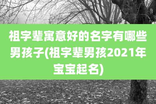 祖字辈寓意好的名字有哪些男孩子(祖字辈男孩2021年宝宝起名)