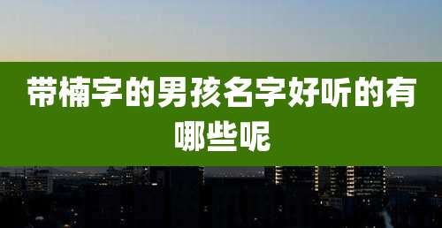 带楠字的男孩名字好听的有哪些呢