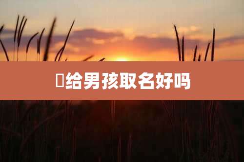 燊给男孩取名好吗